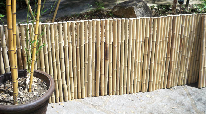 Bamboo Fecing from Jungle Supply Co
